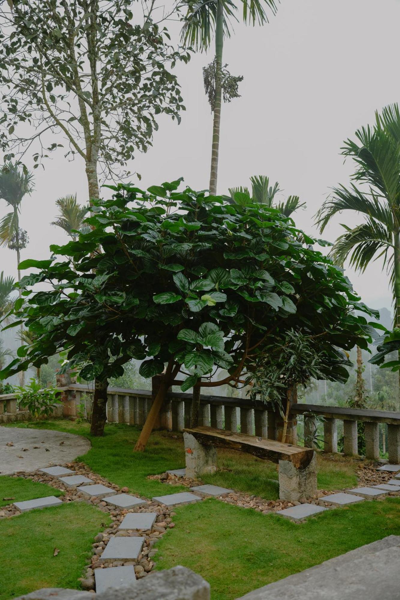 Haze Woods Resort Vaduvanchal Extérieur photo